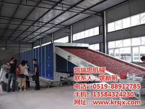 烘干設備 萬壽菊烘干設備 凱瑞思機械公司實力雄厚 多圖